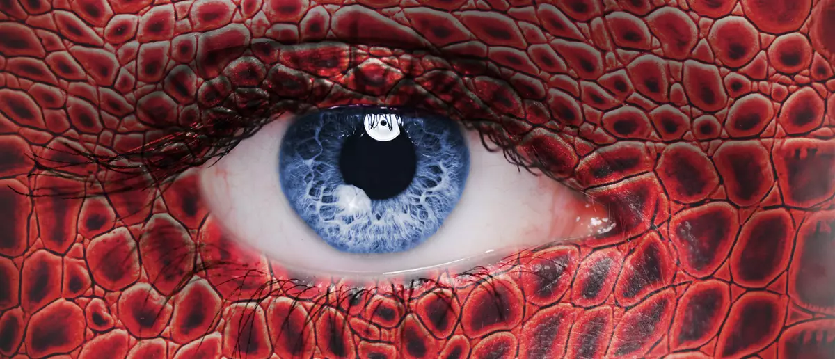 Rétrospective de l'année 2014 Rétrospective de l'année 2014